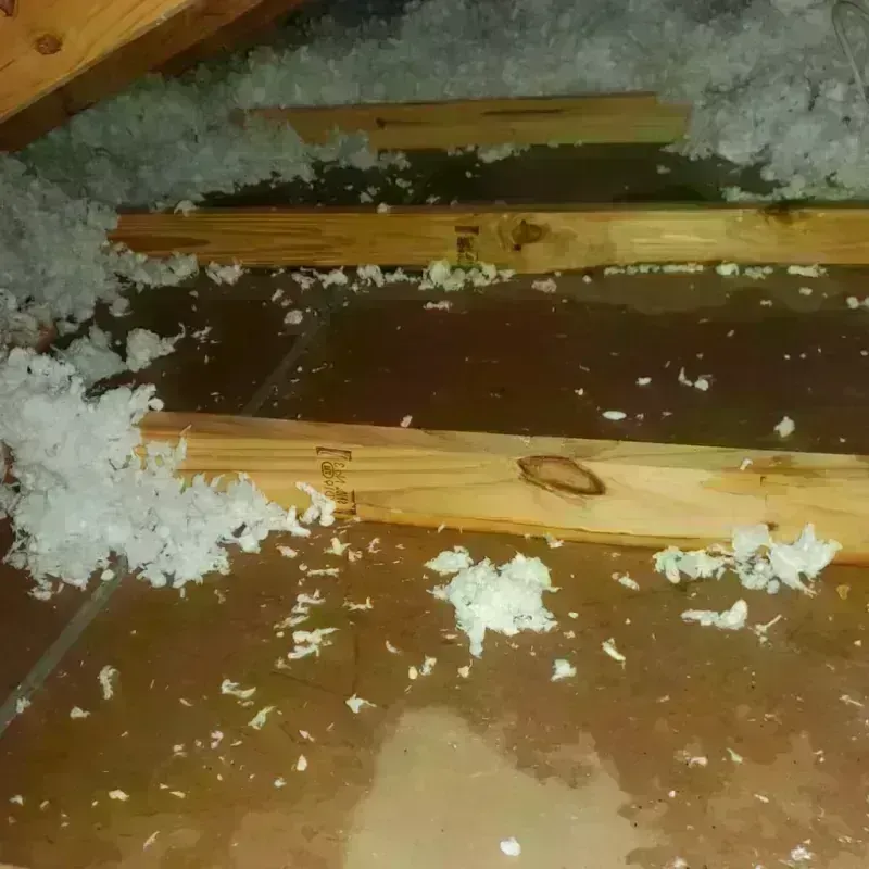 Attic Water Damage in West Allis, WI