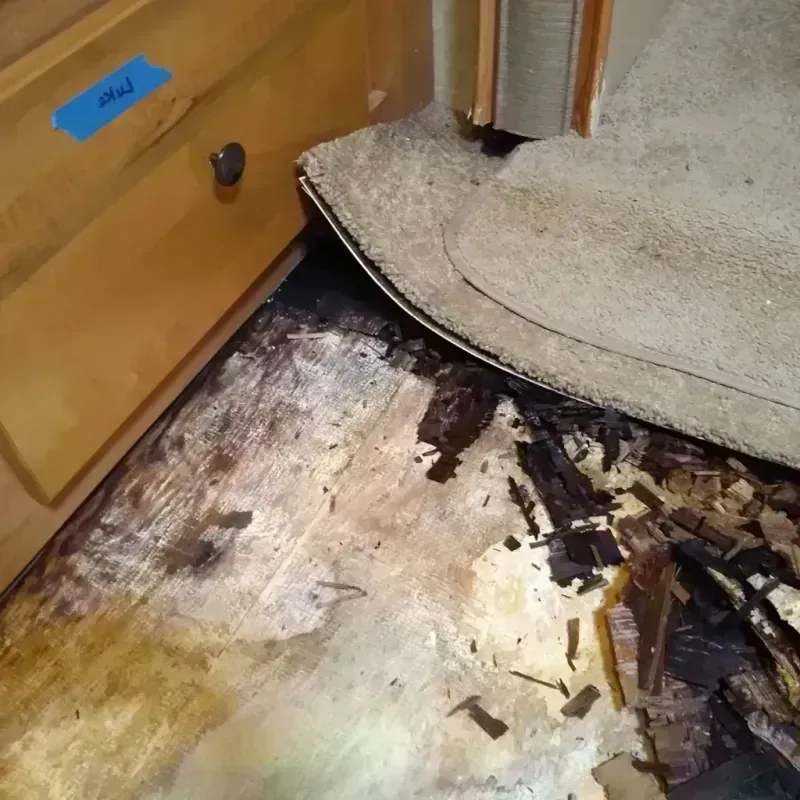 Wood Floor Water Damage in West Allis, WI